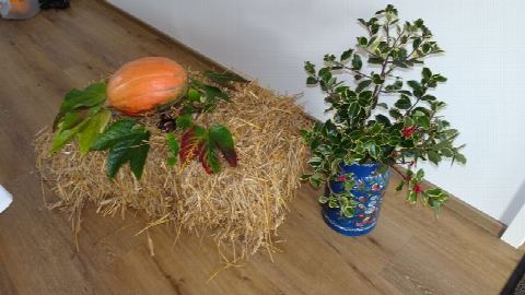 Foto 2 von 33