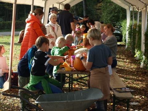 Foto 15 von 33