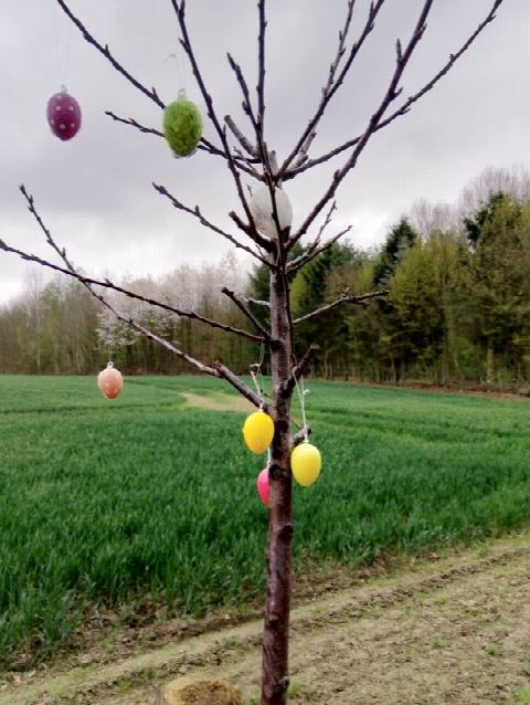 Foto 4 von 42, 14.04.2019