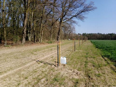 Foto 5 von 42, 16.04.2019