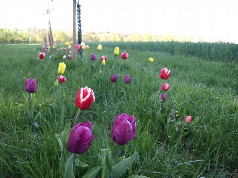 Foto 14 von 42, 26.04.2020
