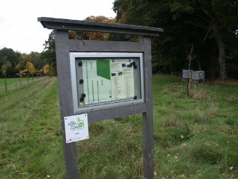 Foto 17 von 42, 25.10.2020